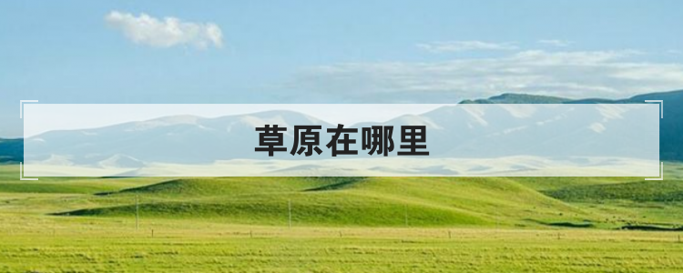草原在哪里