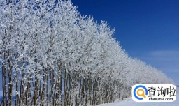 小腿皮肤干燥像蛇皮