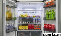 出租房可以买哪些电器