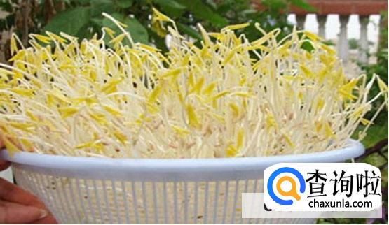 为什么用热水绿豆芽发的快