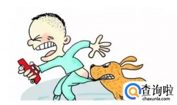 被猫狗咬伤了怎么办？