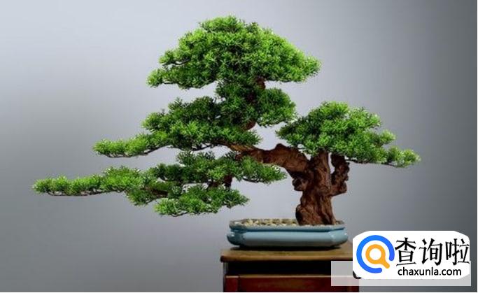 选购礼品可以这样做