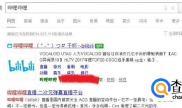 哔哩哔哩会员如何购买邀请码