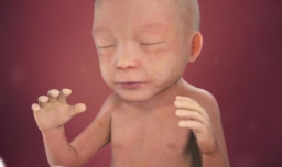 孕22周：宝宝和孕妈妈的新变化，不容错过！