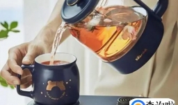 养生壶是不是智商税