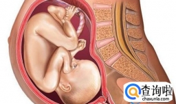 怀孕几个月后可以定胎位