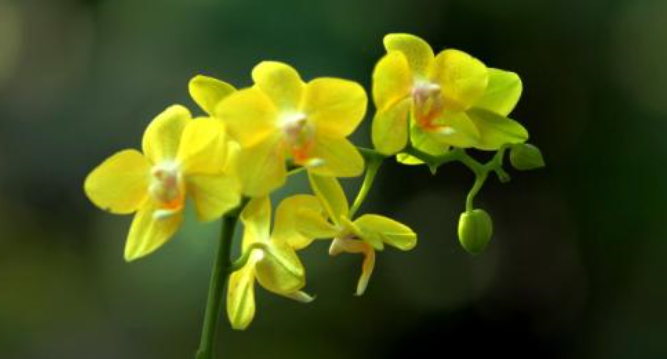 举世无双是什么意思