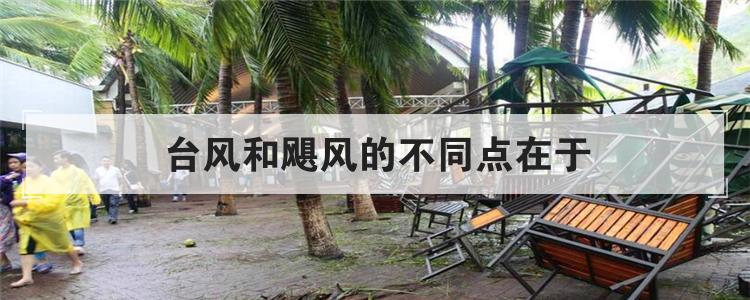 台风和飓风的不同点在于