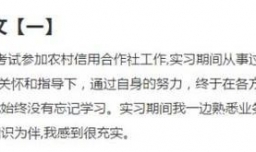 如何写个人述职报告