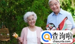 个人如何办理退休