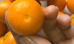 手把手教你自制金桔膏