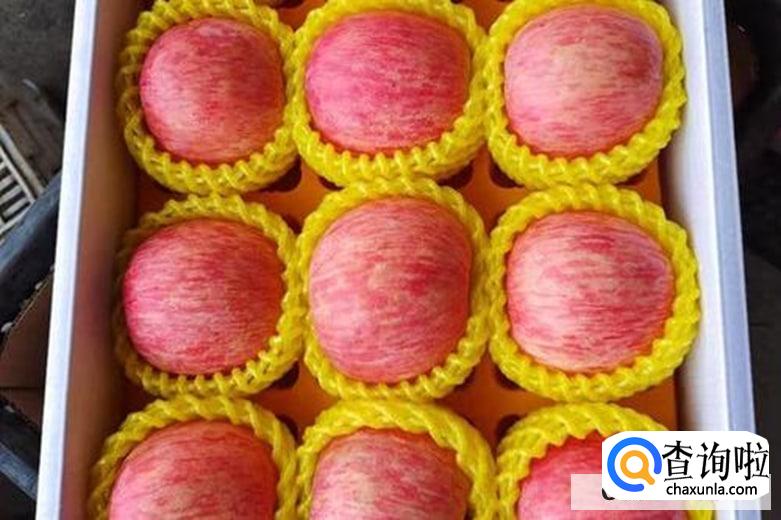 为什么今年的红富士苹果那么贵