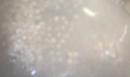 怎样自己DIY好吃的水果捞？