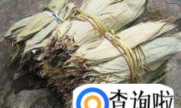 端午节粽子做法：红枣粽子的制作方法