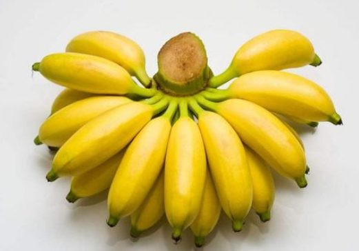 香蕉和芭蕉的区别