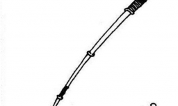 钓鱼需要哪些基本设备