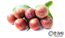 小小开胃零食：自制李干蜜饯