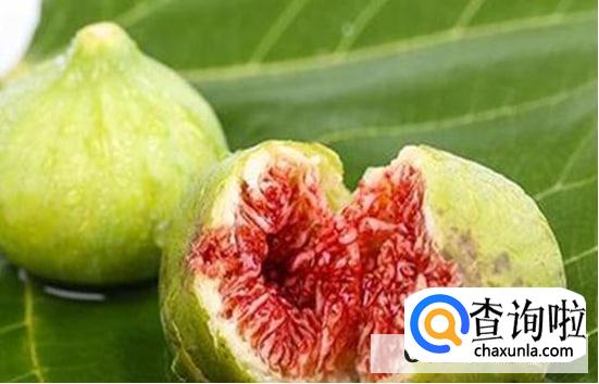 无花果有虫子怎么办
