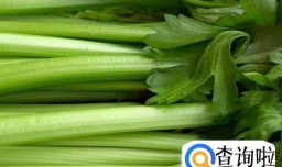 想要瘦肚子脂肪吃什么最快？