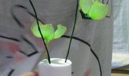 dry丝网三叶草的制作