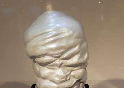 世界上最大的珍珠