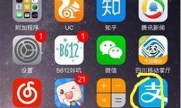 支付宝怎么交违章罚款