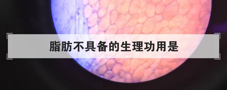 脂肪不具备的生理功用是