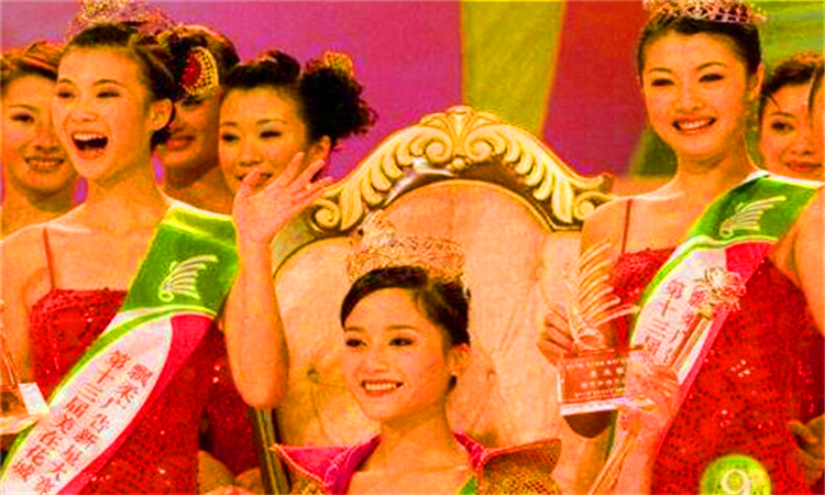 貌似是什么意思