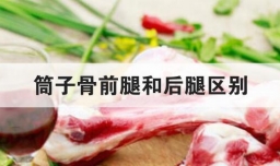 筒子骨前腿和后腿区别