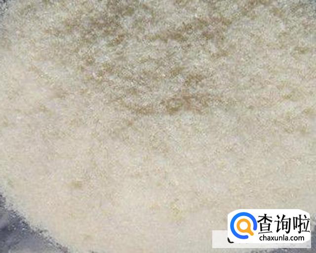 专钓大鲫鱼偏方