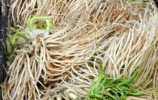 苤菜根的营养和禁忌