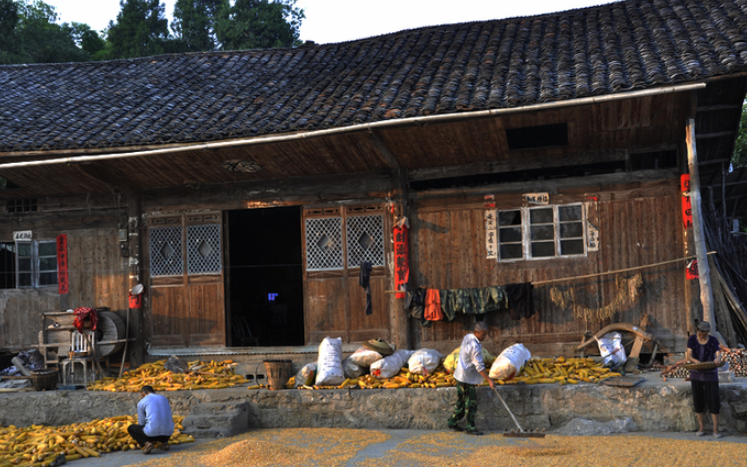 乡下人家课文全文