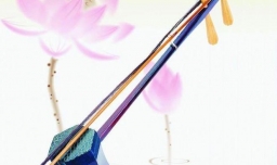 如何学习好二胡