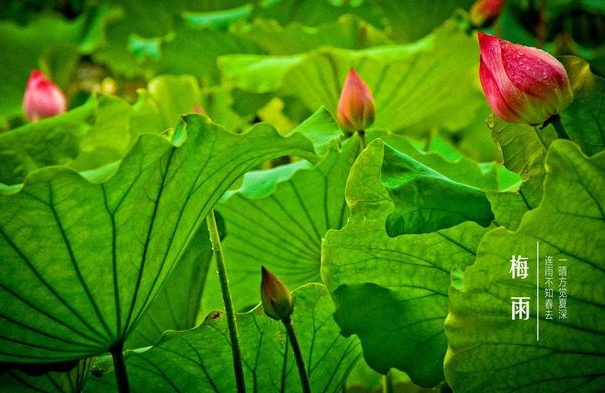 夏至是什么时候