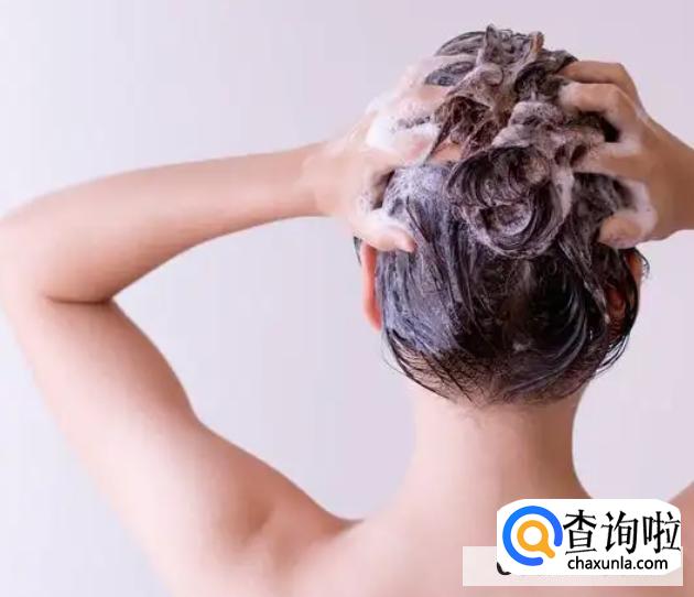 艾叶洗头注意事项