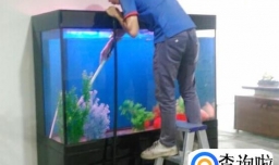 养鱼水混怎么办？养鱼水浑浊怎么办？