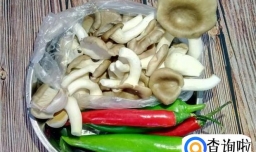 青椒炒平菇的做法