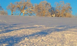 东北三省是哪三省