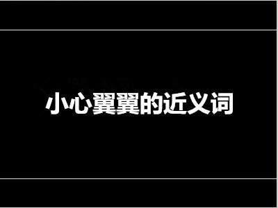 小心翼翼是什么意思