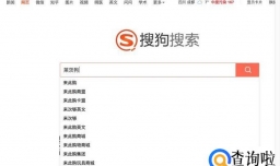 莱茨狗怎么玩？