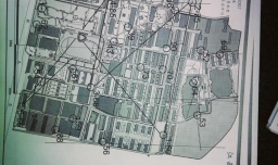 定向运动和定向越野