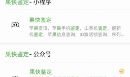 ipad怎么下载迅雷