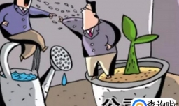 企业自然人和法人的区别