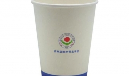 纸杯制作：太阳花