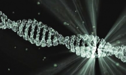 哪些东西有电离辐射