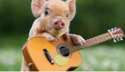 83年属什么生肖