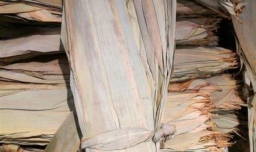 干粽叶怎么包粽子