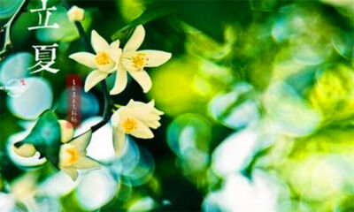 立夏是传统节日吗