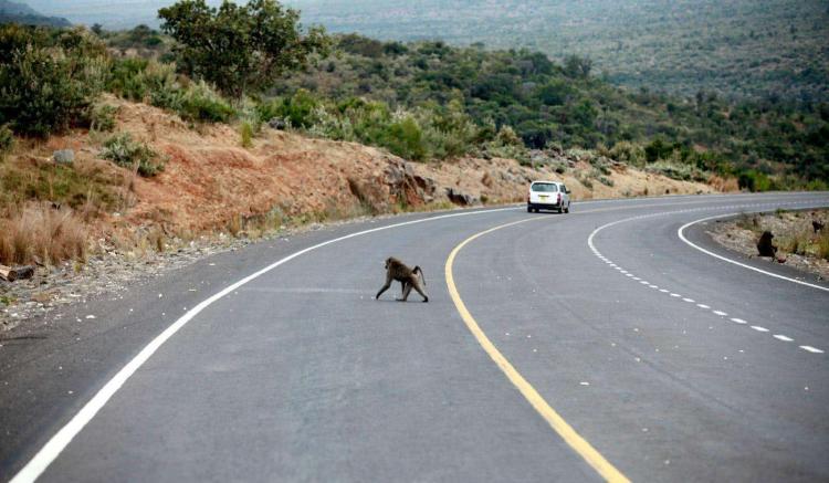 在高速公路上突遇物体只能直接撞上去吗