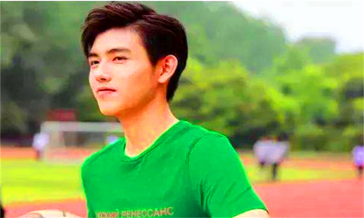 貌似是什么意思